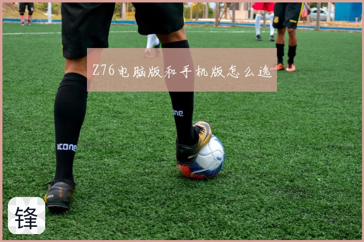 Z76电脑版和手机版怎么选